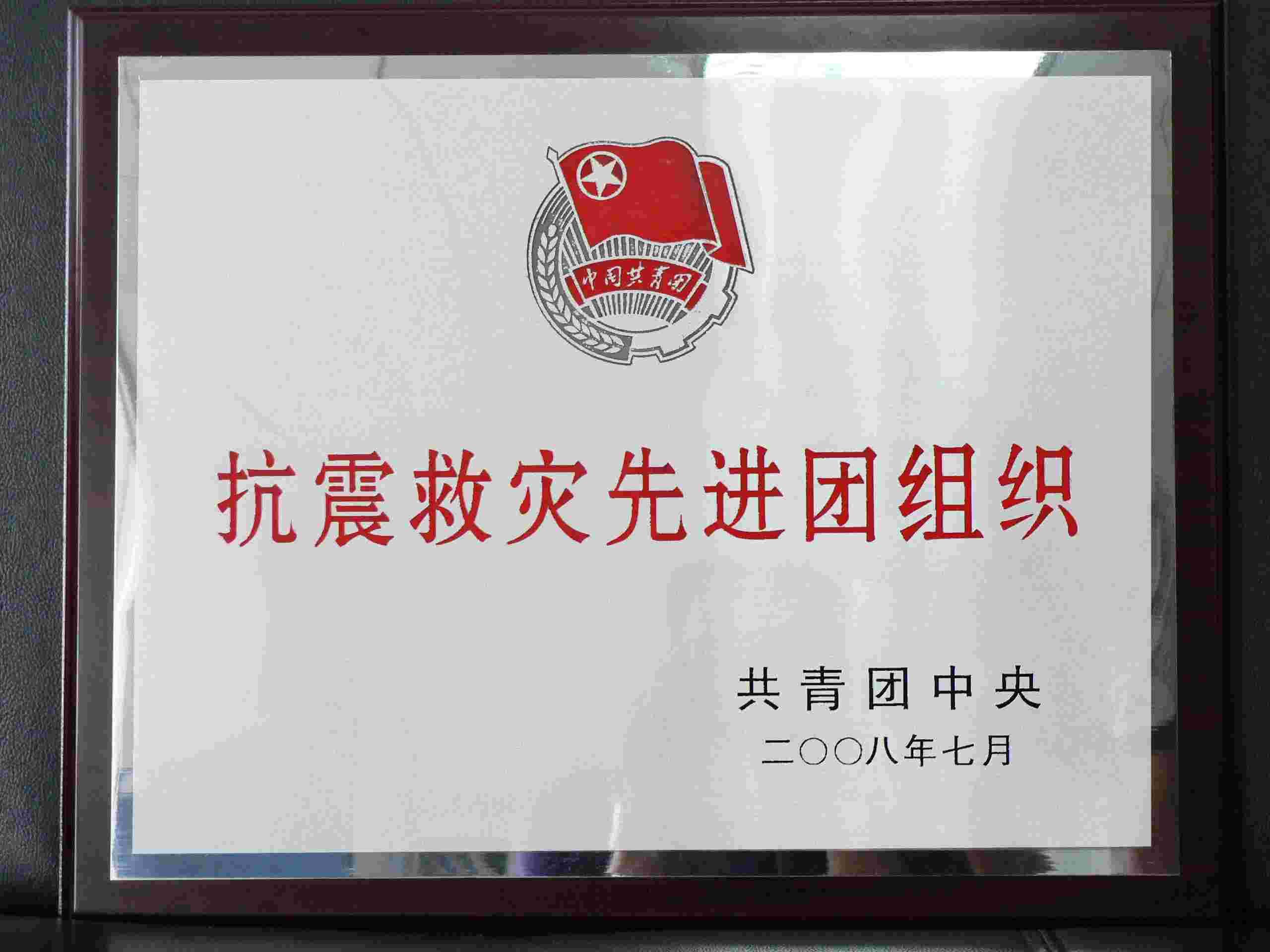 抗震救災(zāi)先進團組織